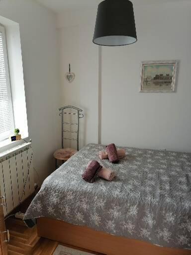 Anka Apartman Smederevo Exterior foto